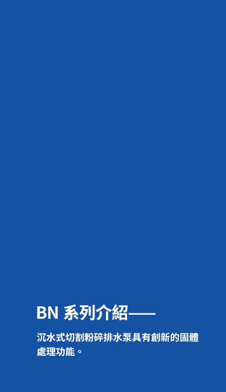 BN系列